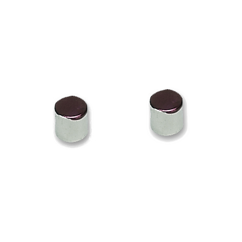MAGNET KIT, (QTY. 2 RARE EARTH MAGNETS FOR RPM SENSOR)